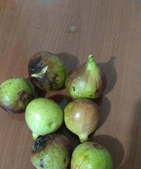 ���۸��᡿��˵�޻������Կ����������