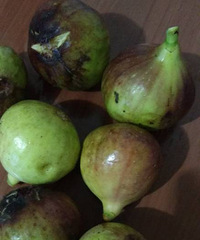 ���۸��᡿��˵�޻������Կ����������