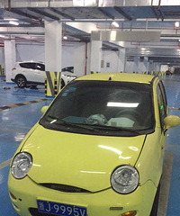 2500ת������ɫQQС����������ѡ��