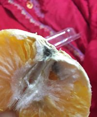 ��4�����٣�2������