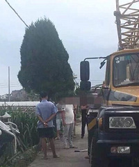 �����ϡ��γ���ӵ����