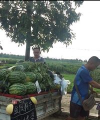 �����ϡ������ģ�������֪����