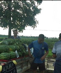 �����ϡ������ģ�������֪����