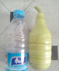 ��С�϶��ͳɹ�