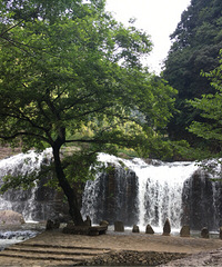 ���߰��ɝT