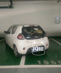 ����ͣ�������ܵ���ô��