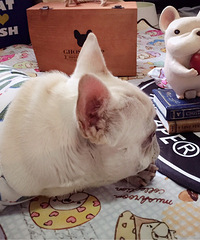 9���µĴ���