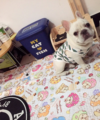 9���µĴ���