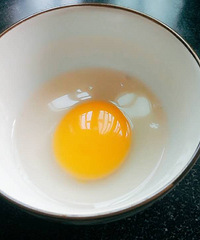 Сʱ����Ľ��ͳ������̰棩������