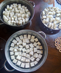 �Լ�������������