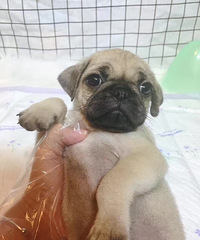 �͸繫ĸ���м۸����