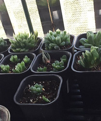 17��û���ڼ��տ�������