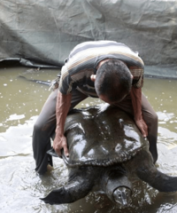 һ�������������ؾ��� �峤1���ش�ٽ�