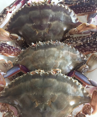 ���۸��᡿���ǳ�����з����