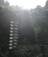 【旅游日记】2017年8月8日的神仙居