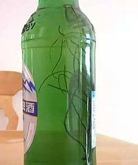 ơ���ﳤ����֦