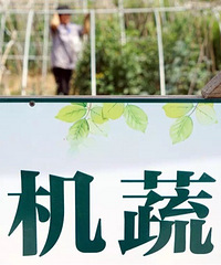 ���۸��᡿��������л��߲������л���