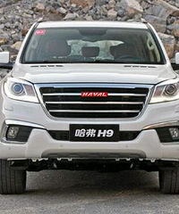 ����ɵ�� һֱ��˵����������