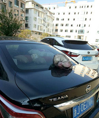 �����ϡ���������������������ͣ��ռ��ͨ���ǵĻ���