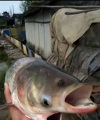 �����е㡰���족����������