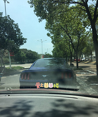 ·���ܳ� �᲻��