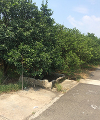 ���۸��᡿���ְ�ӣ���֪����ʲô�õ���