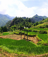 乌孙坑岭古道