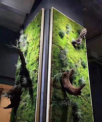 ��Ҿ������ֲ����̬��̨�����г���