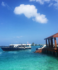 С�����ó� �������򡰳���������