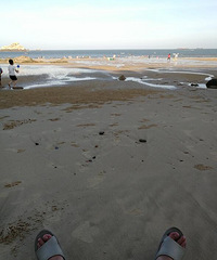 �Ϲ����� ���޵�������