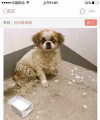 �������ȣ�����վ��Ա�������������󣬱���