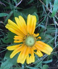 �ҵĻ����ǲ�ȱ