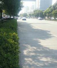 �����ĵ���ʮһ�ڡ����������ҵ���