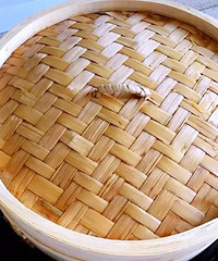 �Լ������̶���ζ������Ŷ