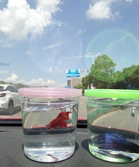 ���챻19¥�а���