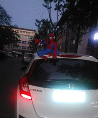 ֩������������