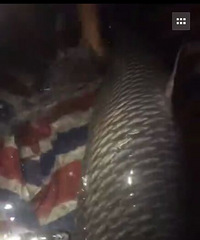 �����˿��