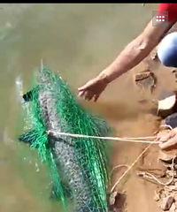 �����˿��