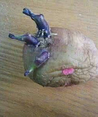 Ů�Ӹо�������ʹ����鷢��������������ѿ��