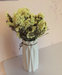 �����ĸɻ�