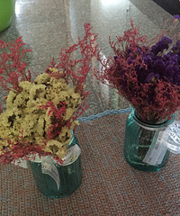 �����ĸɻ�