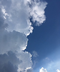 ��ʵ�����Ƕ�����С�� �����Ƕ��ں�嫵���