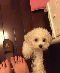 ����������ʺ������