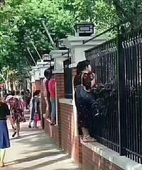 �������¸�ĸ��