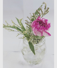 û�з����㽡�