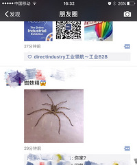 ���ѵ��ﳬ��֩��