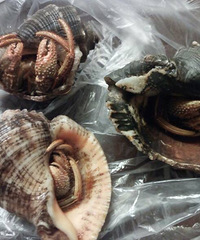 ���۸��᡿�����ɶ����˭֪��