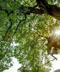 ��������1600Ԫ