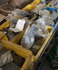 Ħ�г���������ĸ������