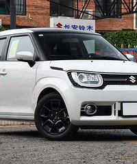 ����˵Ľ��ڳ����ܷ��������صĻԻͣ�